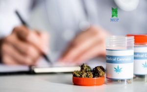 Mistakes to Avoid When Applying for Your Medical Cannabis Prescription