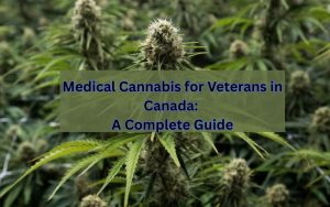 Medical-Cannabis-for-Veterans-in-Canada-A-Complete-Guide