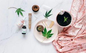 What Is CBD? The Mother of All Cannabinoids Explained