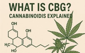 What Is CBG? Cannabinoids Explained