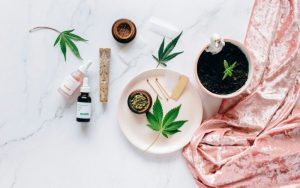 How to Use Cannabinoid Oil: A Practical Guide for Beginners