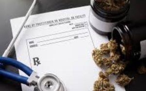 ACMPR License in Canada: Complete Guide for Medical Cannabis Patients